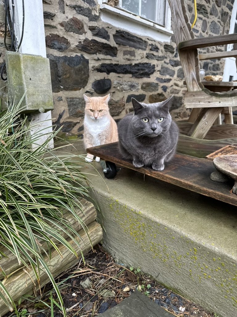 Leonore and Thelonious