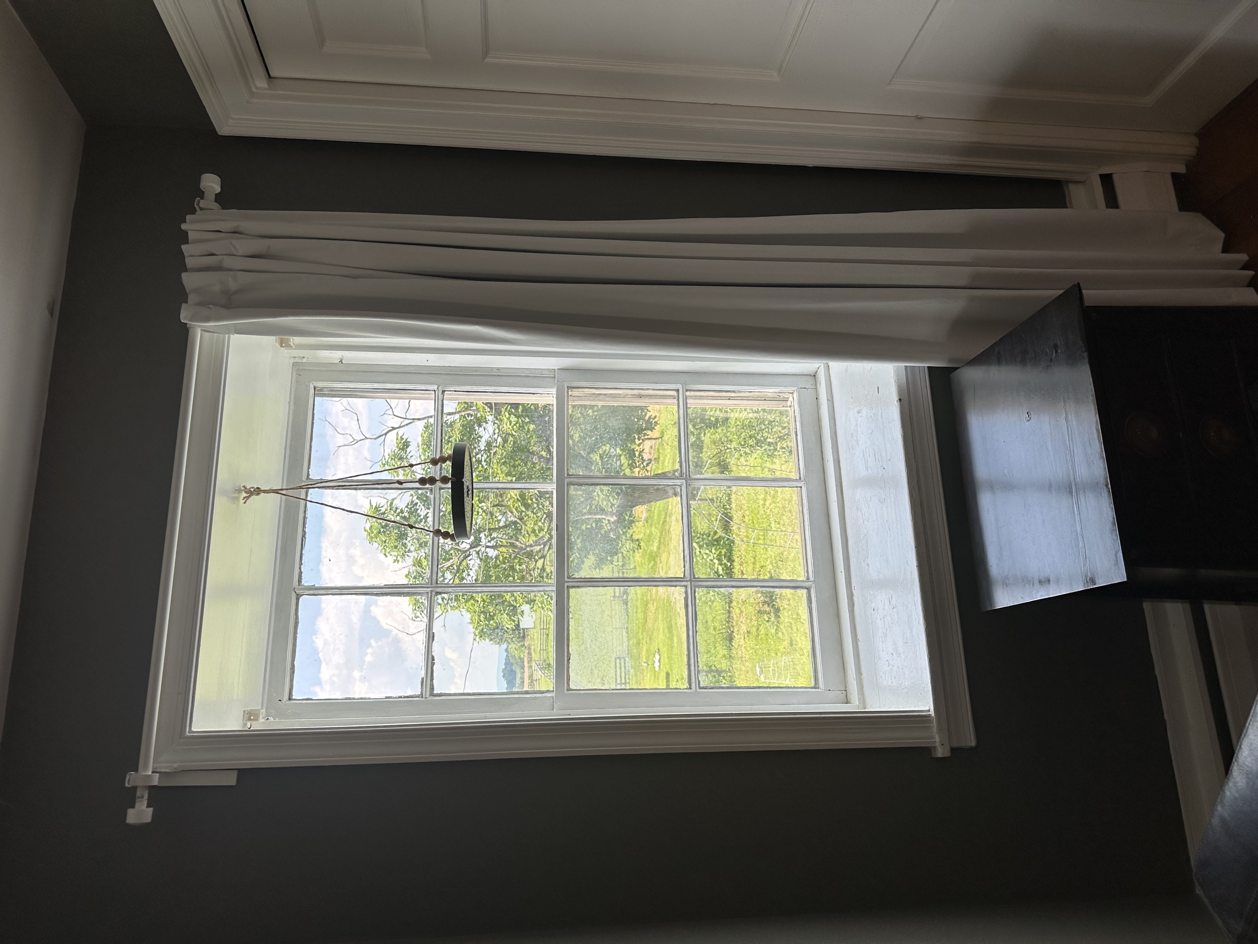 Tree Reflected in Window
